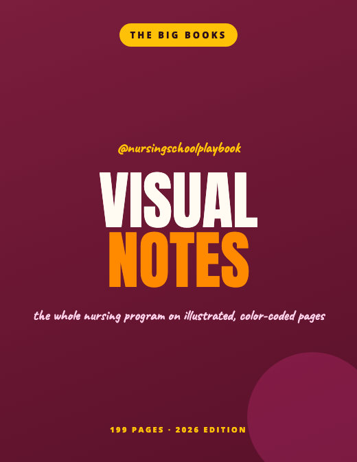 Nursing School Visual Notes cover
