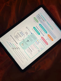 The Complete Nursing School Playbook