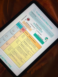 The Complete Nursing School Playbook