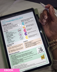 The Complete Nursing School Playbook